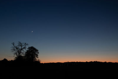 Silhouette trees against clear sky at night