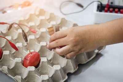 High angle view of woman holding ice cream