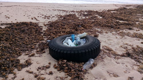 Tire and bottles at dirty beach