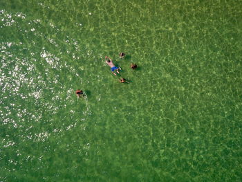 People swimming in the sea