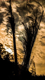 Low angle view of silhouette trees against cloudy sky