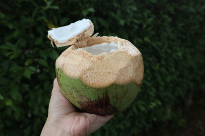 Close-up of hand holding bread