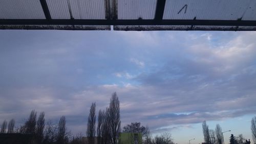 Low angle view of trees against sky