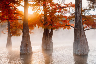 Scenic view of lake