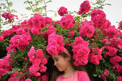 Close-up of girl amidst pink flowers