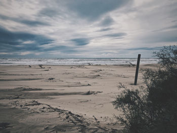 Scenic view of beach against sky