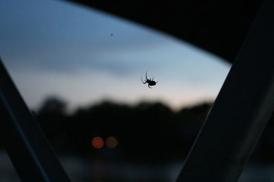 Silhouette spider on window against sky