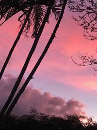 Low angle view of silhouette trees against sky during sunset