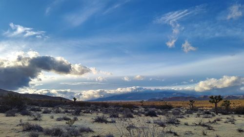 Panoramic view of landscape against sky