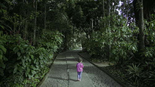 Rear view of woman walking on footpath amidst trees in forest