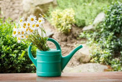 Close-up of flower pot on potted plant