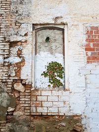 Close-up of window on brick wall