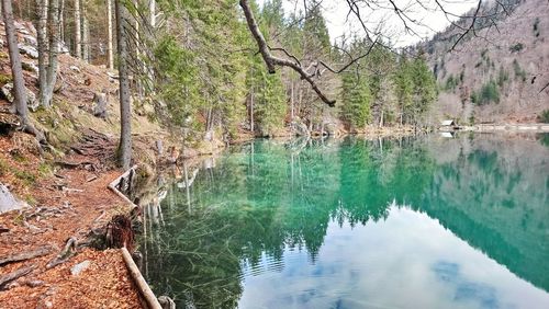 Scenic view of lake by trees against sky