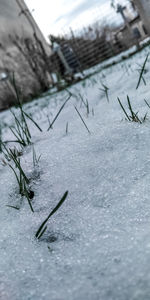 Close-up of snow on field during winter