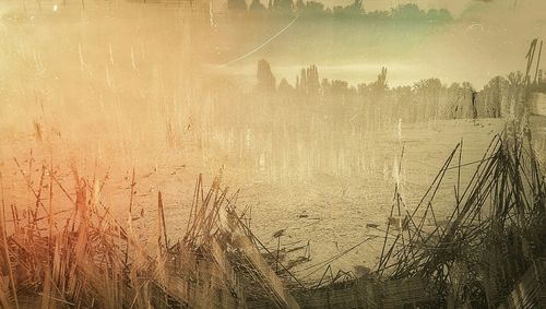 Full frame shot of white background