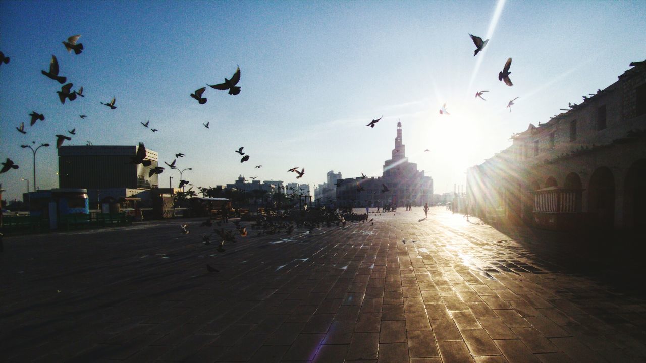 BIRDS FLYING OVER CITY AGAINST CLEAR SKY