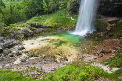 View of waterfall in forest