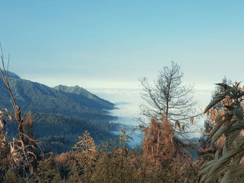 Scenic view of mountains against clear sky