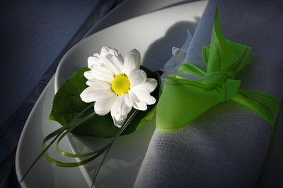 Close-up of white flower by napkin on plate