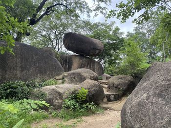 Low angle view of rock formation amidst trees against sky