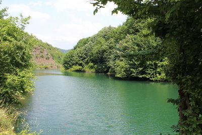 Scenic view of lake in forest against sky