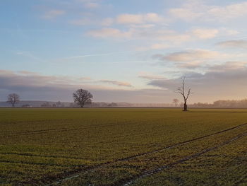 Scenic view of field against sky during sunset