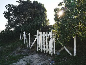 View of trees against sky