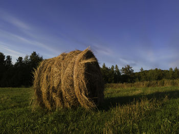 Hay bales on field against sky