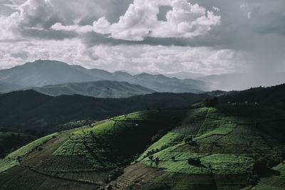 Rice terrace in northern thailand