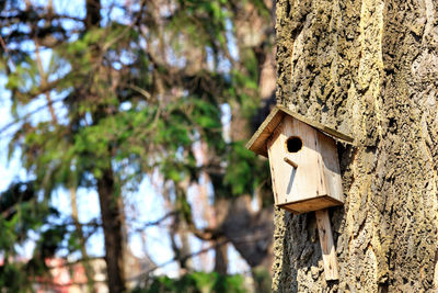 An old birdhouse nailed high on an oak tree in a spring park.