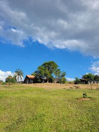 Scenic view of agricultural field against sky