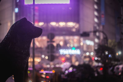 Close-up of statue in illuminated city at night