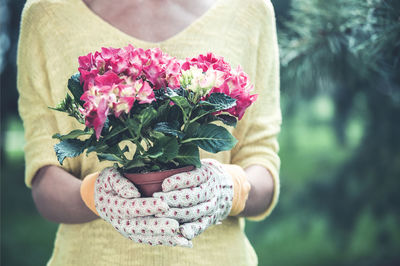 Midsection of woman holding pink flower