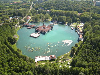 High angle view of trees and plants