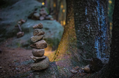 Stack of stones in forest