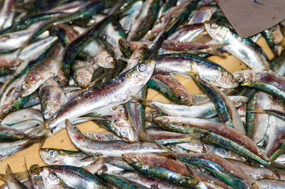 High angle view of fish for sale in market