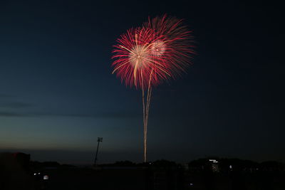 Low angle view of firework display at night