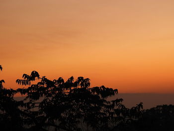 Silhouette trees against sea during sunset