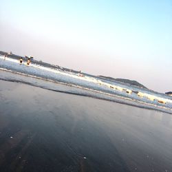 Scenic view of beach