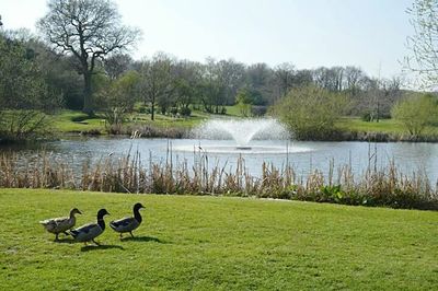 Tranquil scene of lake