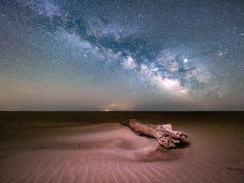 Driftwood at beach against star field