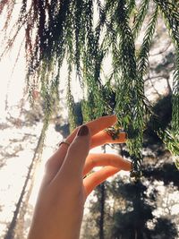 Close-up of hand holding leaf against trees