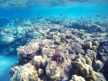 Rocks in sea