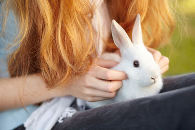 Midsection of woman with rabbit