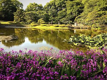 Scenic view of lake in forest