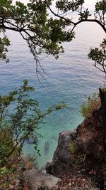 High angle view of lake amidst trees in forest