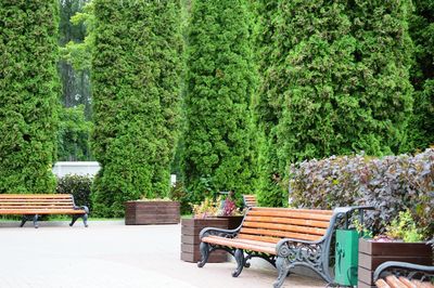 Empty chairs and table in park