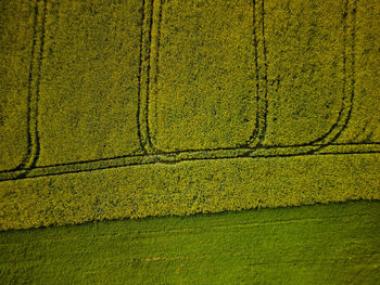 Full frame shot of agricultural field