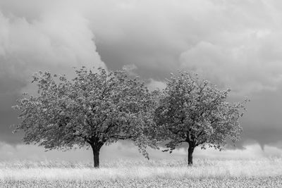 black and white