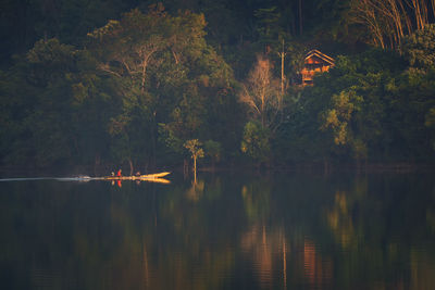 Scenic view of lake in forest